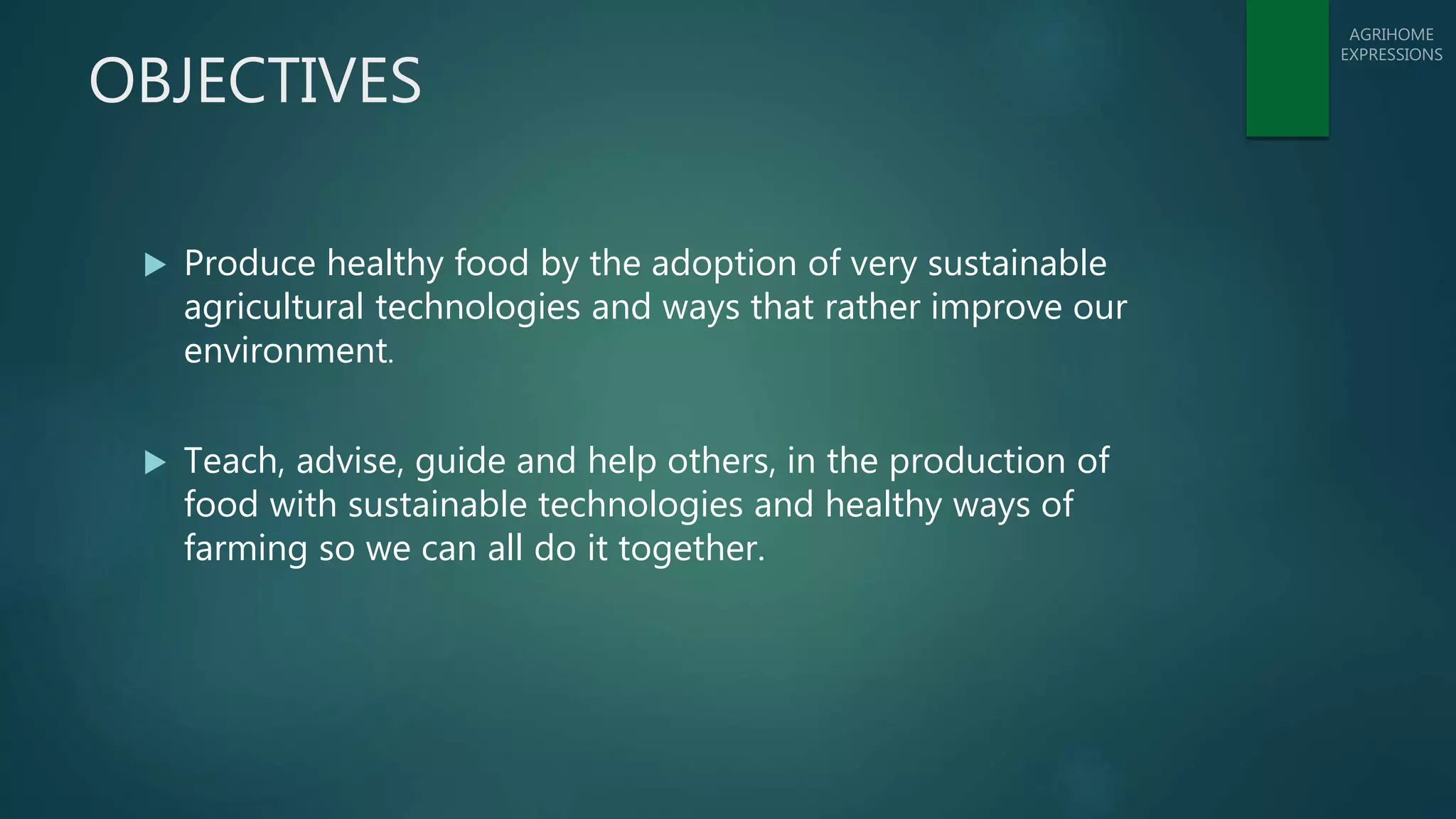 Slide 5