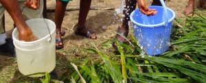 Manual irrigation