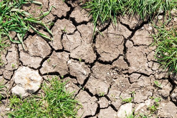 basic soil problems