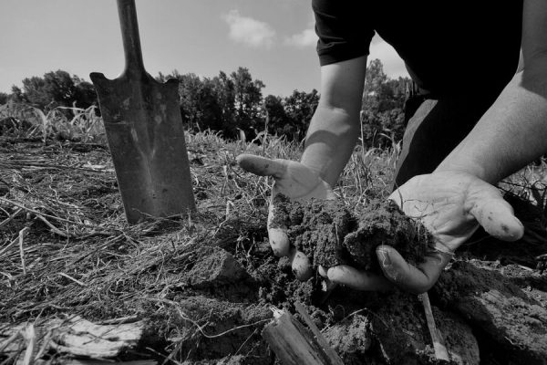 soil tests