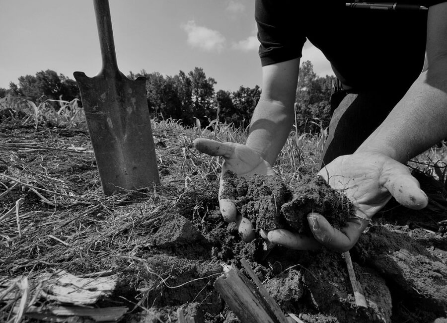 10 Simple and Easy Soil Tests
