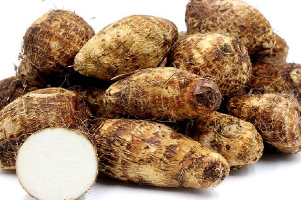 cocoyam roots nutrition facts