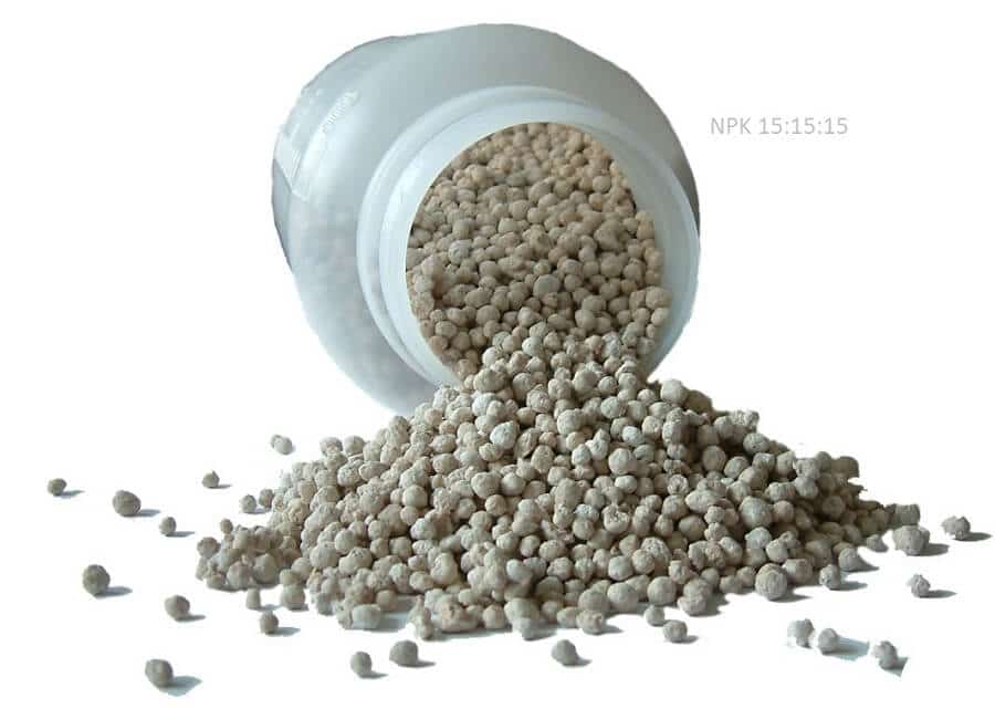 Inorganic Fertilizer: Advantages and Disadvantages