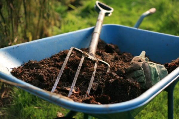organic fertilizer