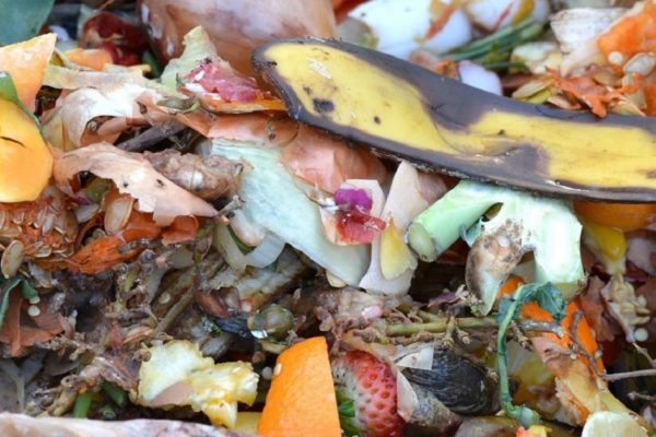 composting
