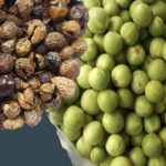 preserving turkey berries