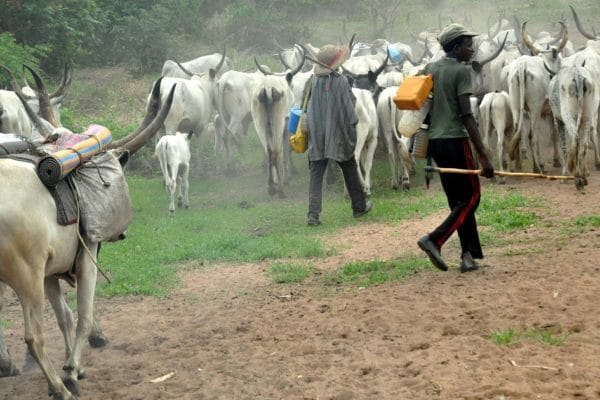 Nomadic Fulani Herdsmen